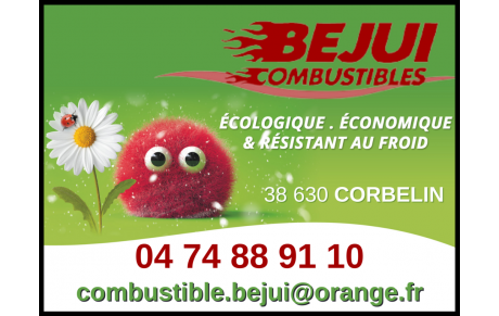 BEJUI COMBUSTIBLES